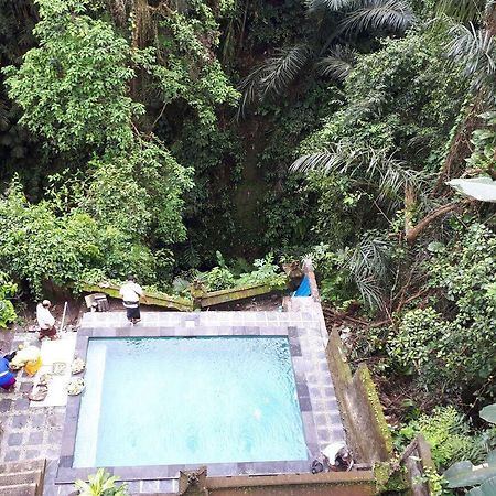 Anggrek Mas Bed&Breakfast Vandrerhjem Ubud Eksteriør bilde